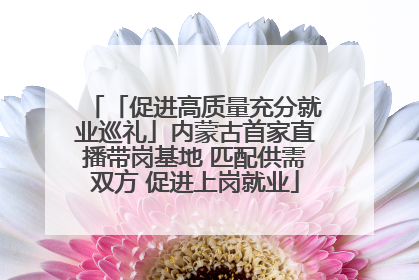 「促进高质量充分就业巡礼」内蒙古首家直播带岗基地 匹配供需双方 促进上岗就业