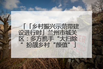 「乡村振兴示范带建设进行时」兰州市城关区：多方携手“大扫除”扮靓乡村“颜值”