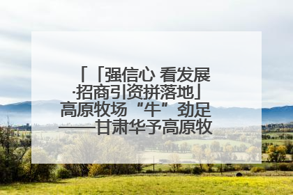 「强信心 看发展·招商引资拼落地」高原牧场“牛”劲足——甘肃华予高原牧场高标准奶牛肉牛养殖项目一线见闻