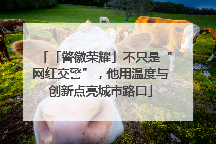 「警徽荣耀」不只是“网红交警”，他用温度与创新点亮城市路口