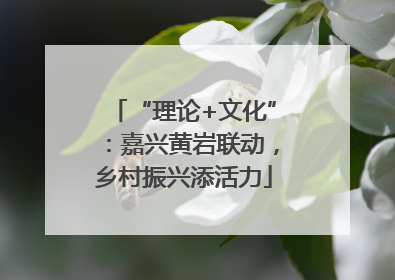 “理论+文化”：嘉兴黄岩联动，乡村振兴添活力