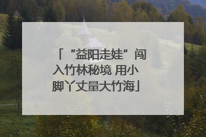 “益阳走娃”闯入竹林秘境 用小脚丫丈量大竹海