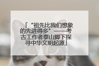 “祖先比我们想象的先进得多”——考古工作者泰山脚下探寻中华文明起源