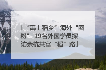 “禹上稻乡”海外“圈粉” 19名外国学员探访余杭共富“稻”路