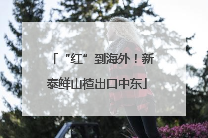 “红”到海外！新泰鲜山楂出口中东