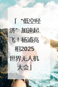 “低空经济”加速起飞！杨浦亮相2025世界无人机大会