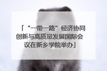 “一带一路”经济协同创新与高质量发展国际会议在新乡学院举办
