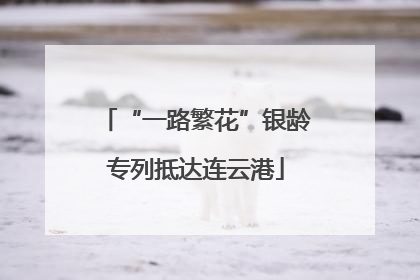 “一路繁花”银龄专列抵达连云港