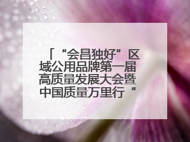 “会昌独好”区域公用品牌第一届高质量发展大会暨中国质量万里行“质量强企•质品行动”进会昌启动仪式成功举办