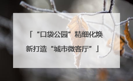 “口袋公园”精细化焕新打造“城市微客厅”