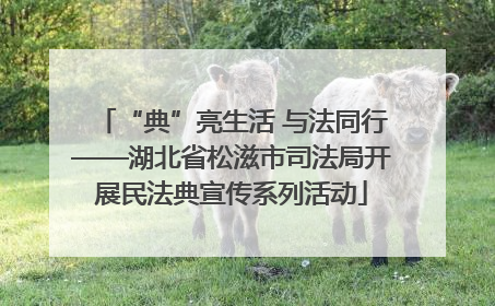 “典”亮生活 与法同行——湖北省松滋市司法局开展民法典宣传系列活动