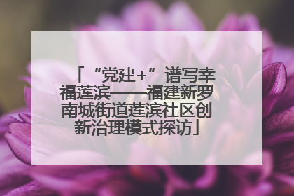 “党建+”谱写幸福莲滨——福建新罗南城街道莲滨社区创新治理模式探访