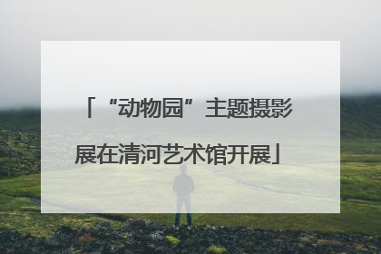 “动物园”主题摄影展在清河艺术馆开展