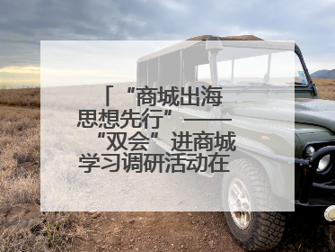 “商城出海 思想先行”——“双会”进商城学习调研活动在临沂顺利开展