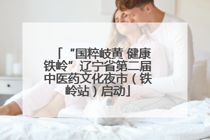 “国粹岐黄 健康铁岭”辽宁省第二届中医药文化夜市（铁岭站）启动