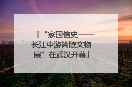 “家国信史——长江中游简牍文物展”在武汉开幕