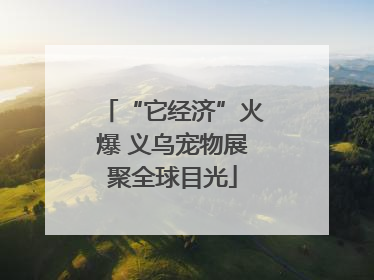 “它经济”火爆 义乌宠物展聚全球目光