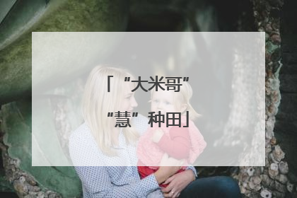“大米哥”“慧”种田