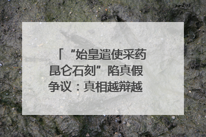 “始皇遣使采药昆仑石刻”陷真假争议：真相越辩越明｜新京报专栏