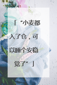 “小麦都入了仓，可以睡个安稳觉了”
