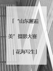 “山东邂逅美”摄影大赛｜花海写生