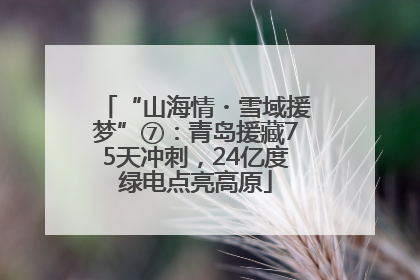 “山海情・雪域援梦”⑦：青岛援藏75天冲刺，24亿度绿电点亮高原