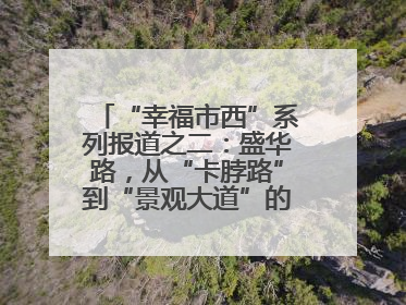 “幸福市西”系列报道之二：盛华路，从“卡脖路”到“景观大道”的华丽转身
