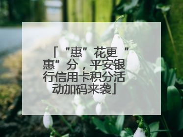 “惠”花更“惠”分，平安银行信用卡积分活动加码来袭