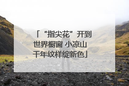 “指尖花”开到世界橱窗 小凉山千年纹样绽新色