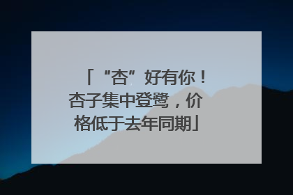 “杏”好有你！杏子集中登鹭，价格低于去年同期