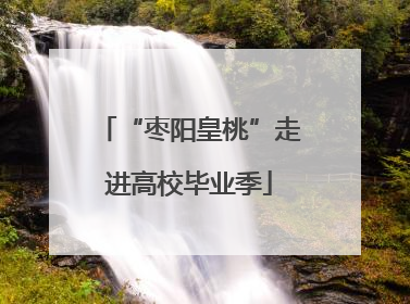 “枣阳皇桃”走进高校毕业季