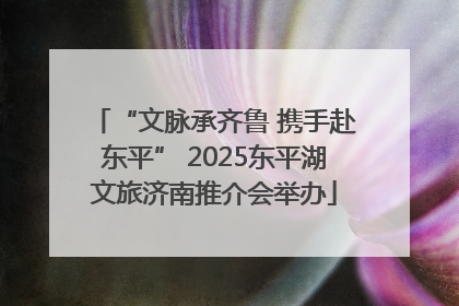 “文脉承齐鲁 携手赴东平” 2025东平湖文旅济南推介会举办
