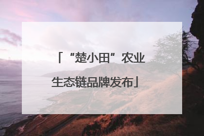 “楚小田”农业生态链品牌发布