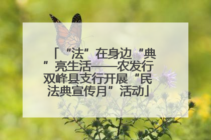 “法”在身边“典”亮生活——农发行双峰县支行开展“民法典宣传月”活动