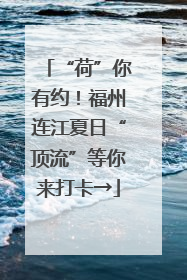 “荷”你有约！福州连江夏日“顶流”等你来打卡→