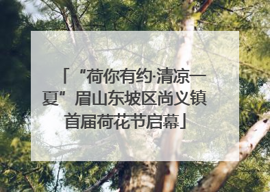“荷你有约·清凉一夏”眉山东坡区尚义镇首届荷花节启幕