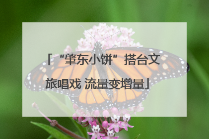“肇东小饼”搭台文旅唱戏 流量变增量