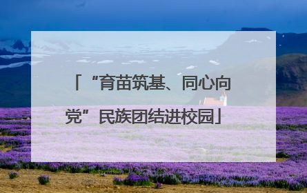 “育苗筑基、同心向党”民族团结进校园