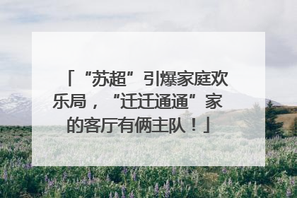 “苏超”引爆家庭欢乐局，“迁迁通通”家的客厅有俩主队！