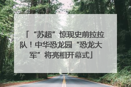 “苏超”惊现史前拉拉队！中华恐龙园“恐龙大军”将亮相开幕式