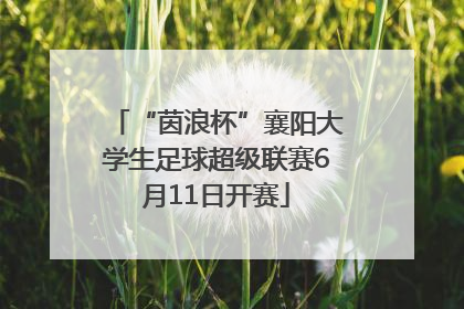 “茵浪杯”襄阳大学生足球超级联赛6月11日开赛