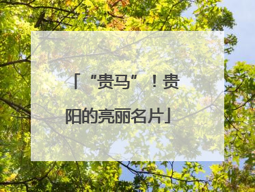 “贵马”！贵阳的亮丽名片