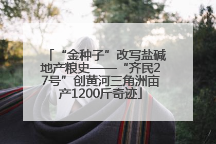 “金种子”改写盐碱地产粮史——“齐民27号”创黄河三角洲亩产1200斤奇迹