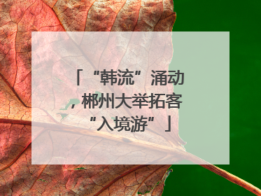 “韩流”涌动，郴州大举拓客“入境游”