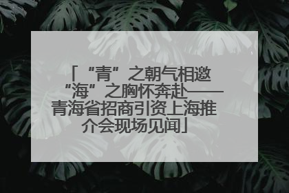 “青”之朝气相邀 “海”之胸怀奔赴——青海省招商引资上海推介会现场见闻