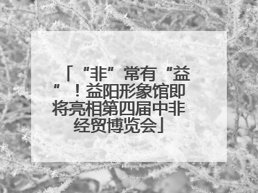 “非”常有“益”！益阳形象馆即将亮相第四届中非经贸博览会