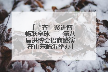 “齐”聚进博 畅联全球——第八届进博会招商路演在山东临沂举办