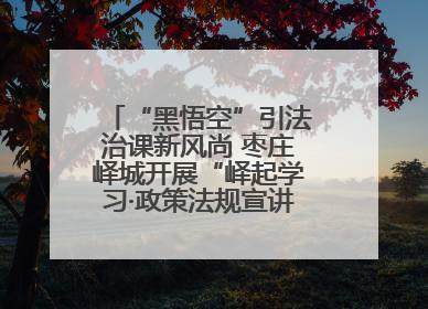 “黑悟空”引法治课新风尚 枣庄峄城开展“峄起学习·政策法规宣讲面对面”活动