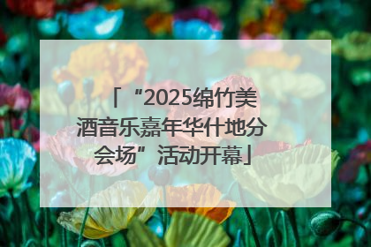 “2025绵竹美酒音乐嘉年华什地分会场”活动开幕