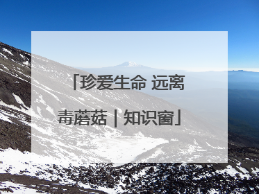 珍爱生命 远离毒蘑菇｜知识窗